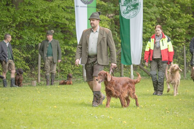 Hundepräsentation 2019